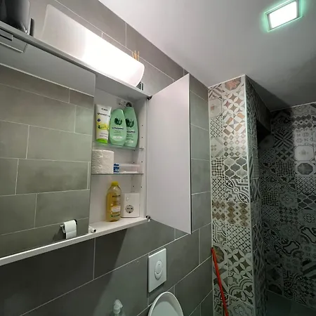 Apartment Lovely Laibach